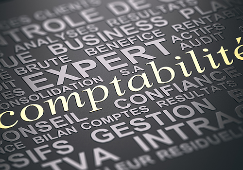 Expertise comptable